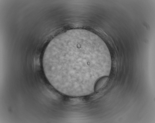 X0000115210516200911121907