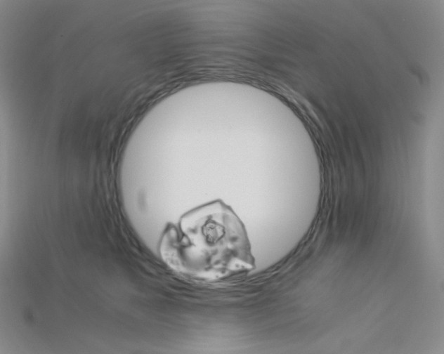 X0000115210517200911121907