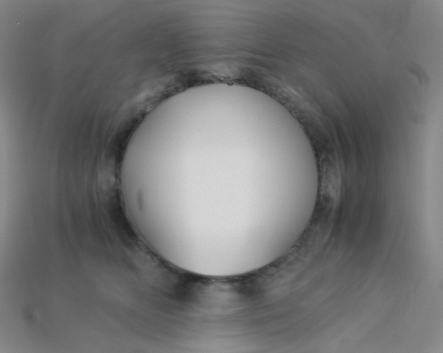 X0000115210518200911121907