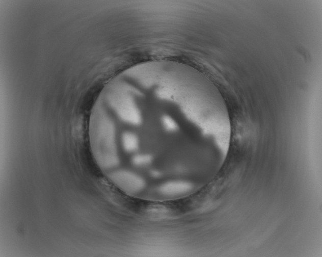 X0000115210519200911121907