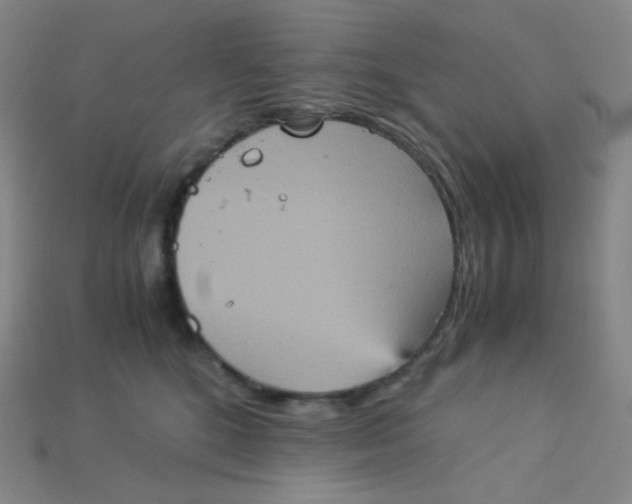 X0000115210520200911121907