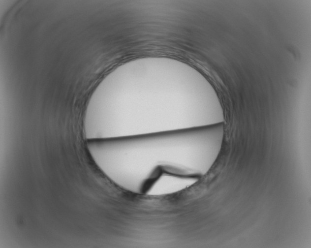 X0000115210521200911121907