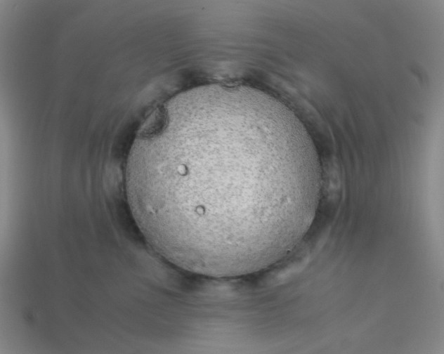 X0000115210523200911121907