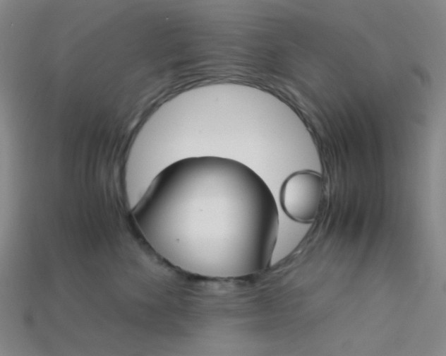 X0000115210524200911121907