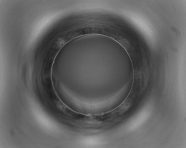 X0000115210526200911121907