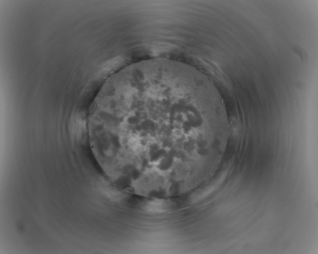 X0000115210527200911121907