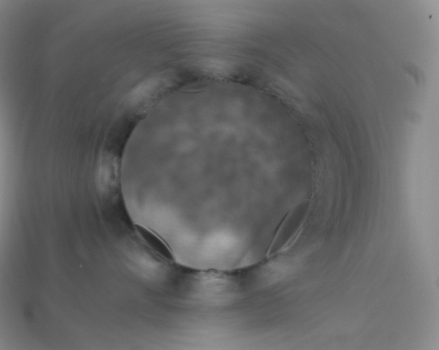 X0000115210528200911121907