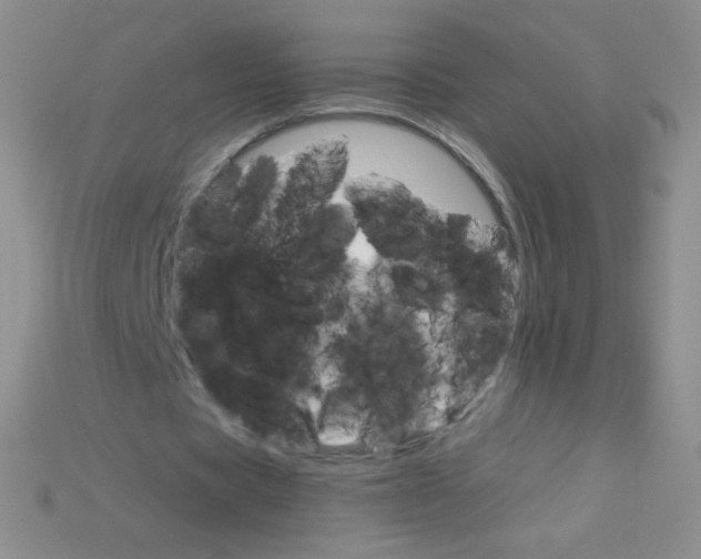 X0000115210529200911121906