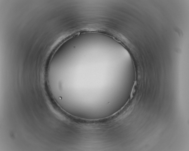X0000115210530200911121906