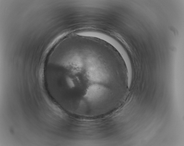 X0000115210531200911121906