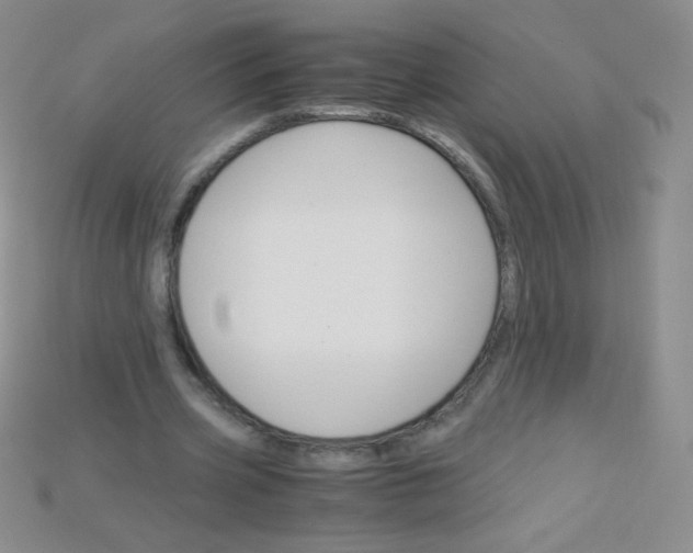 X0000115210533200911121906