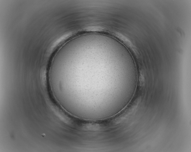 X0000115210535200911121906