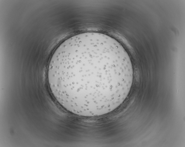 X0000115210537200911121906
