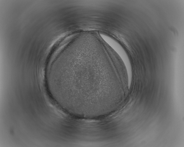 X0000115210539200911121906