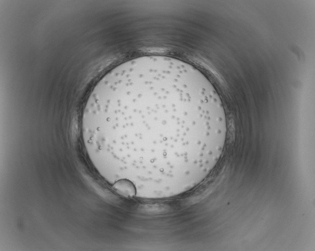X0000115210541200911121906