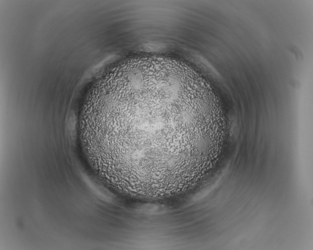 X0000115210542200911121906