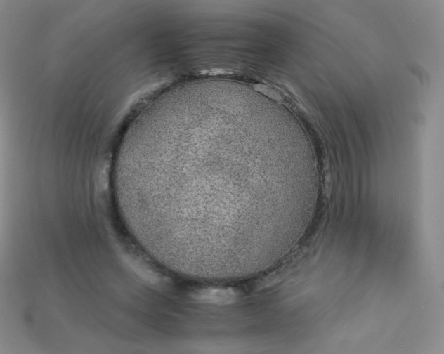 X0000115210543200911121906