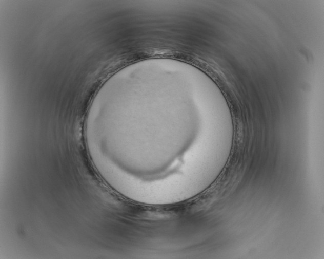 X0000115210545200911121906