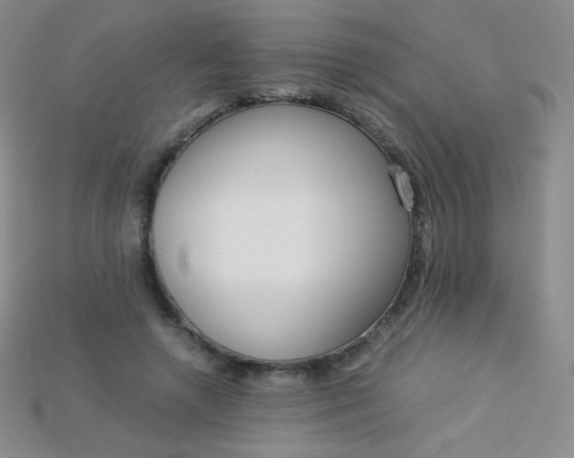 X0000115210546200911121906