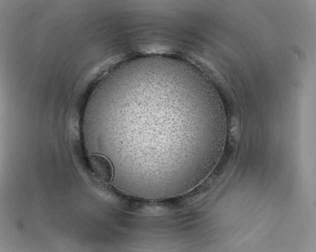 X0000115210547200911121906