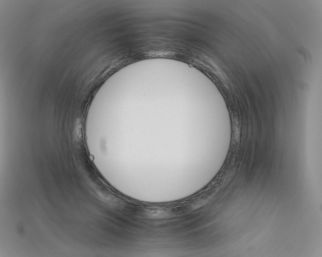 X0000115210549200911121906