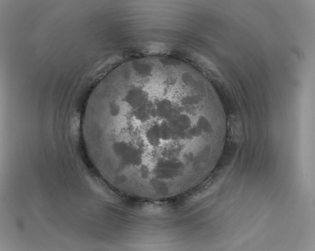 X0000115210550200911121906