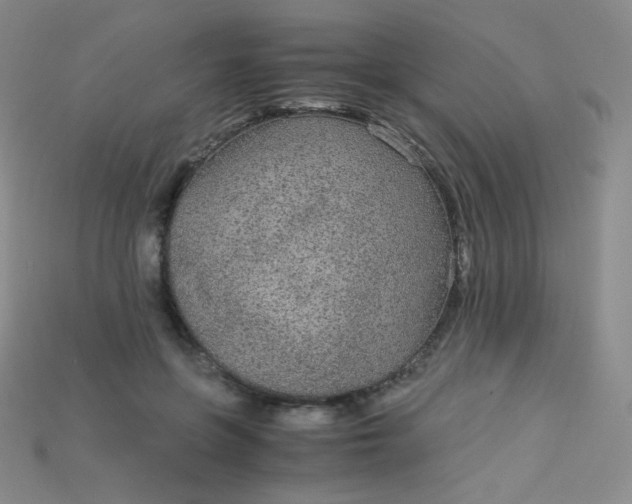 X0000115210551200911121906