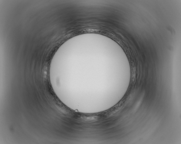X0000115210553200911121906