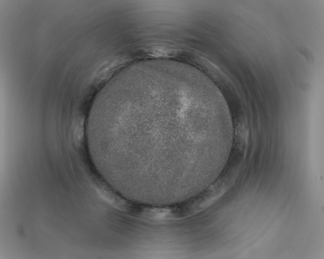 X0000115210554200911121906
