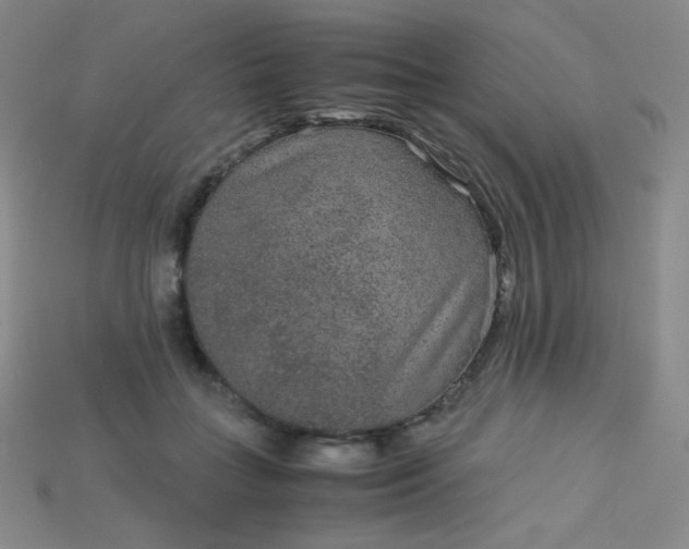 X0000115210555200911121906