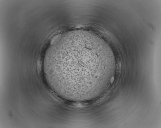 X0000115210558200911121906