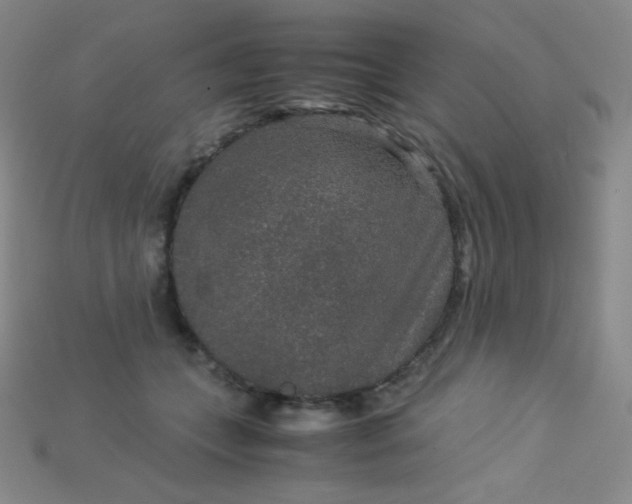 X0000115210559200911121906