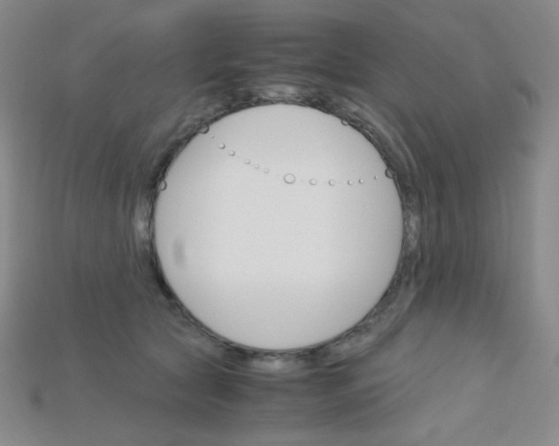 X0000115210561200911121906