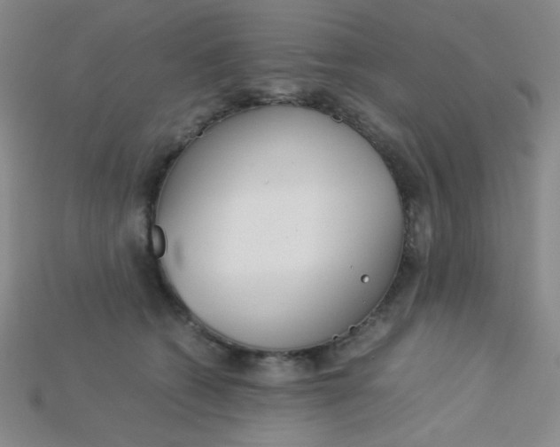X0000115210562200911121906