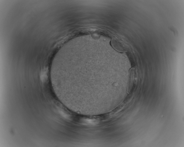 X0000115210563200911121906