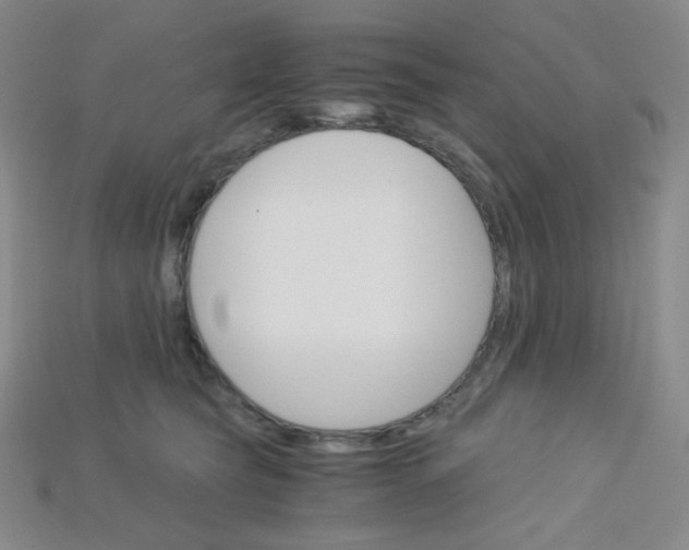 X0000115210565200911121907
