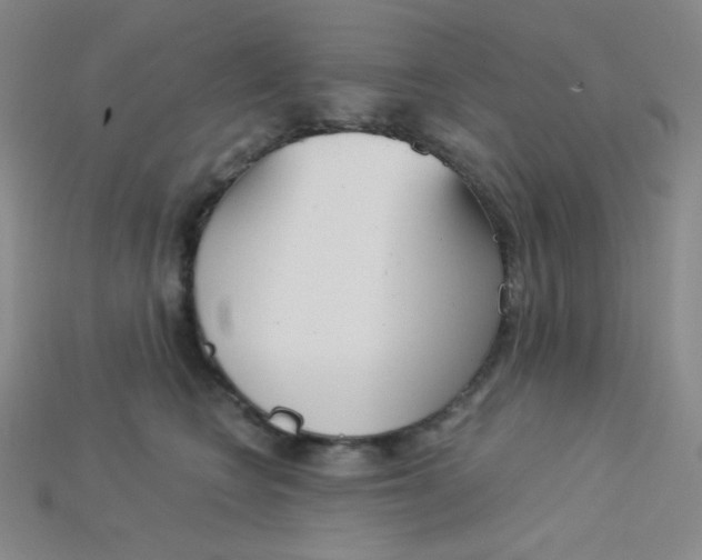 X0000115210566200911121907