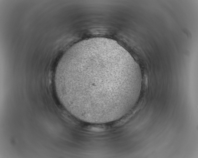 X0000115210567200911121907