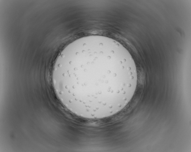 X0000115210569200911121907