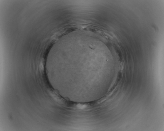 X0000115210570200911121907