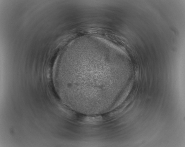 X0000115210571200911121907