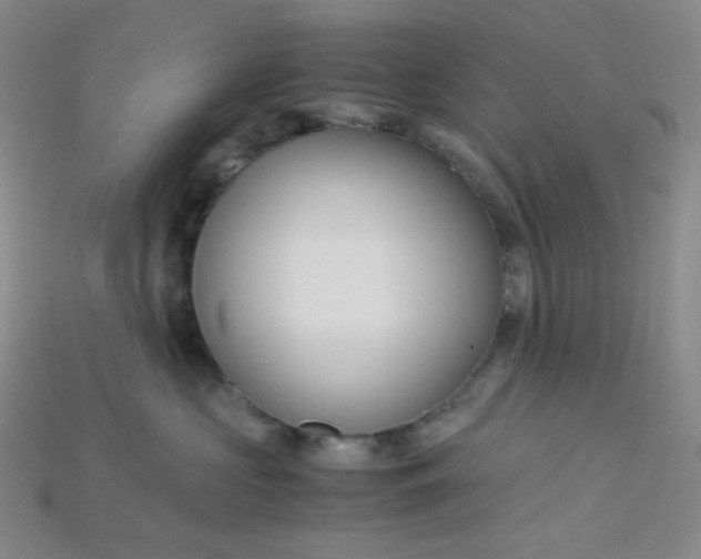 X0000115210573200911121907