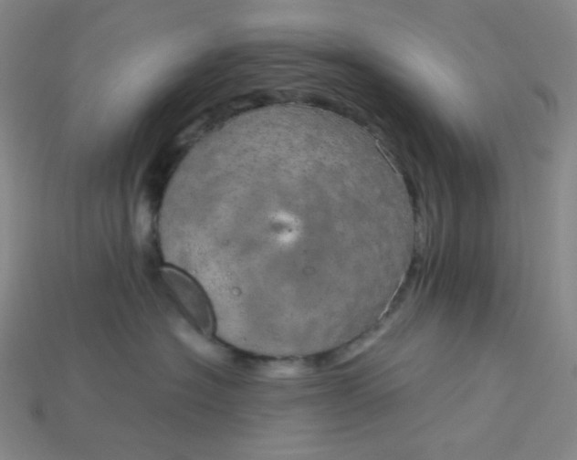 X0000115210574200911121907