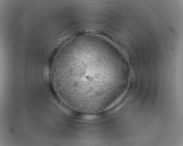 X0000115210575200911121907