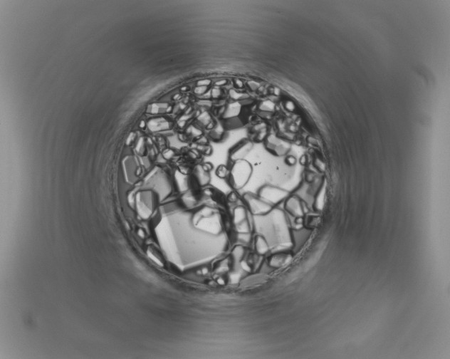 X0000115210577200911121906