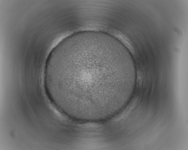 X0000115210578200911121906