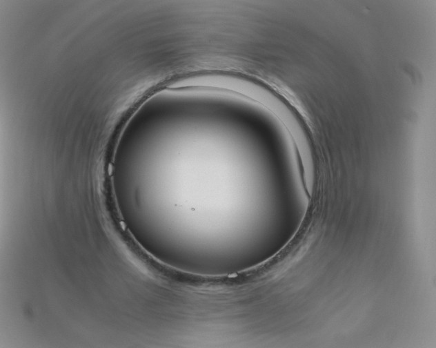 X0000115210581200911121906