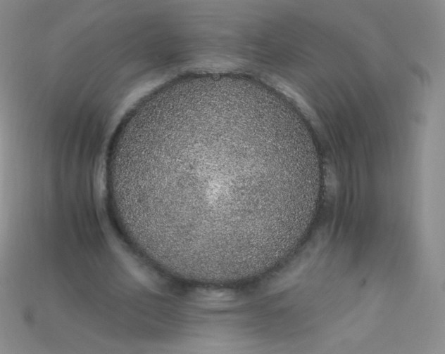 X0000115210582200911121906
