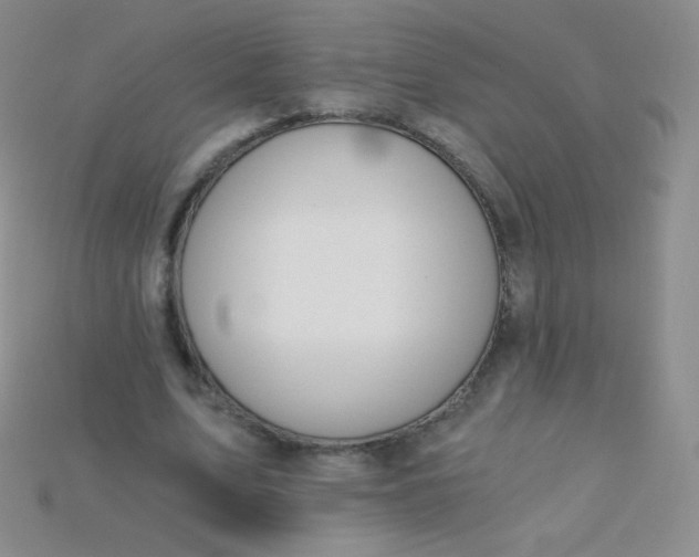 X0000115210583200911121906