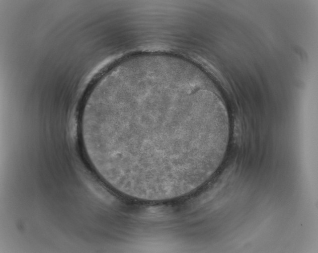 X0000115210584200911121906